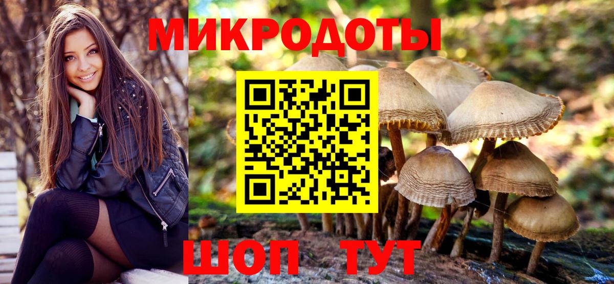 Галлюциногенные грибы GOLDEN TEACHER Протвино